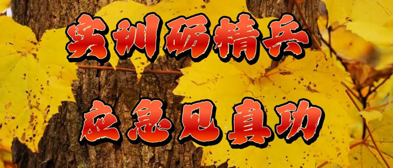 實訓(xùn)礪精兵 應(yīng)急見真功